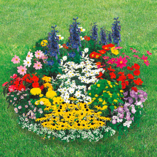 Blumen-Teppich - Image 2