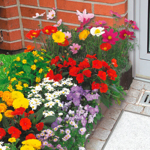 Blumen-Teppich - Image 3
